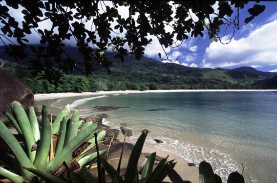 Recanto Tangara - Chale - Praia Do Felix Ubatuba Exterior photo